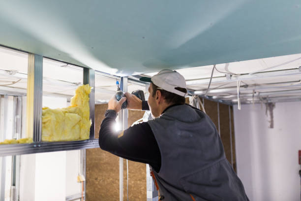 Insulation Repair Services in Lac Du Flambeau, WI